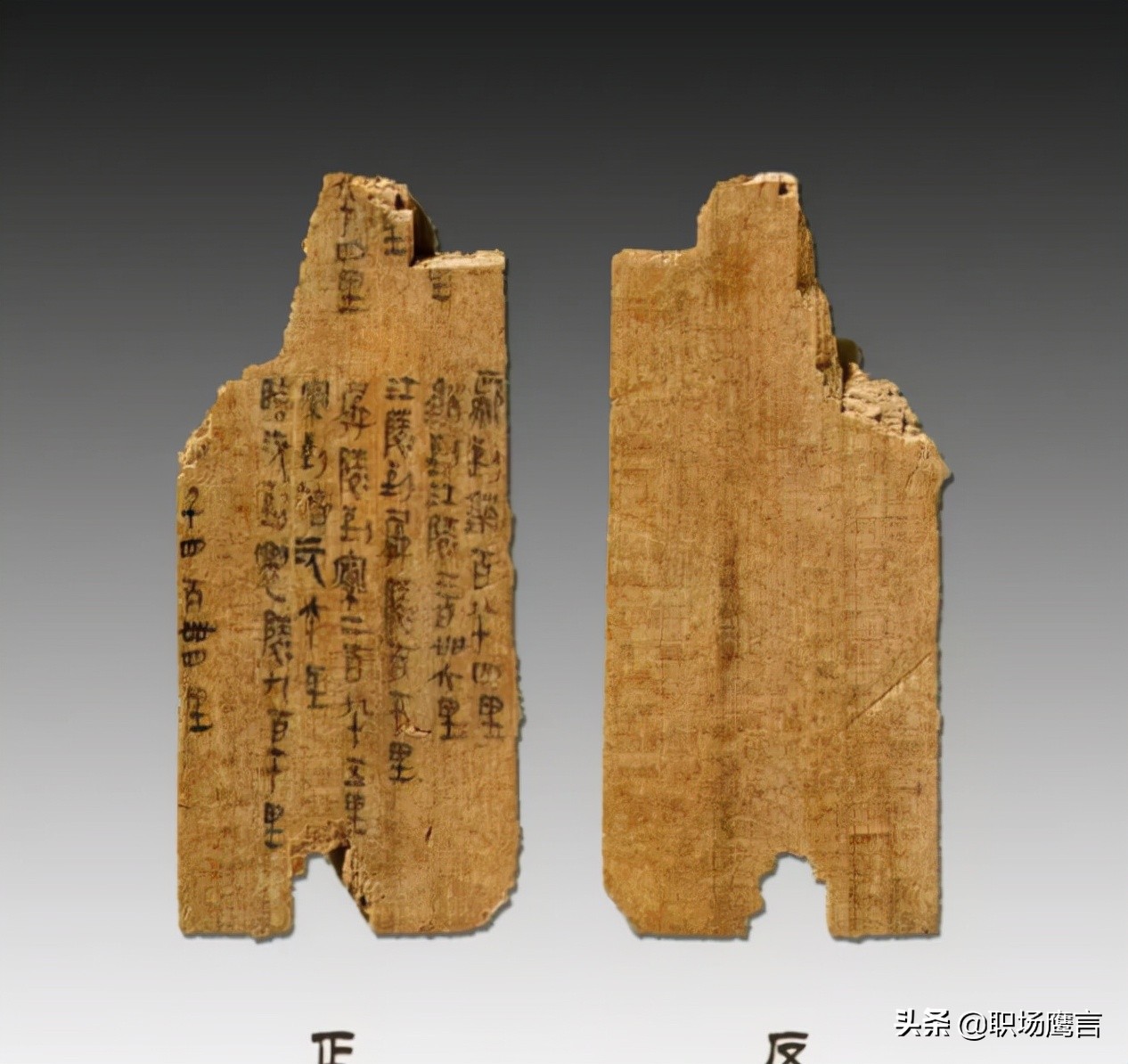 参观秦始皇兵马俑后感,参观兵马俑让1000多名游客震惊