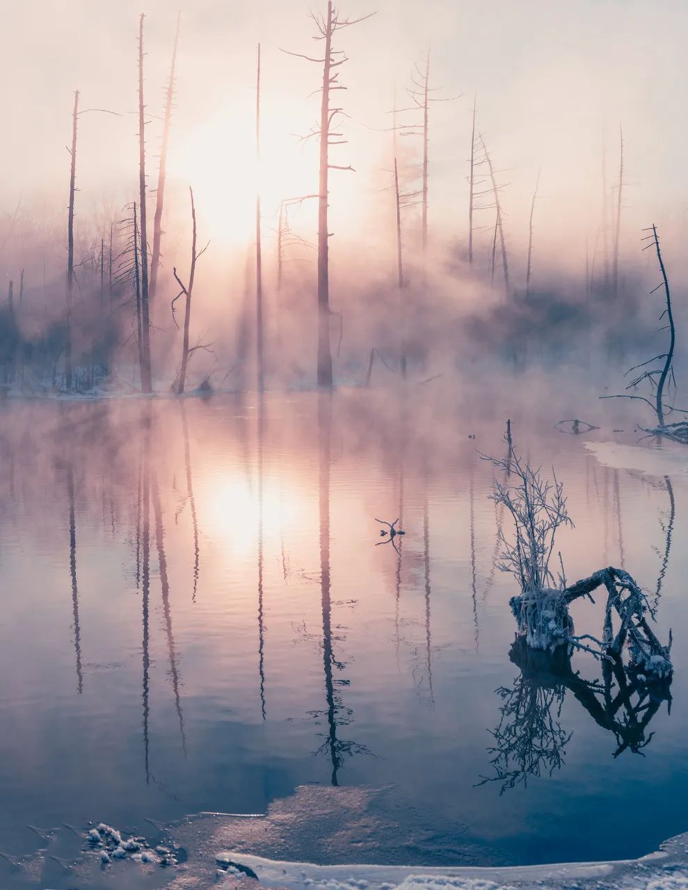 为什么东北这么发达,东北打雪仗有多猛