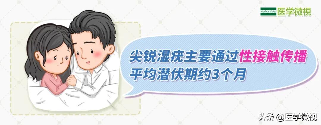 一种形如“菜花”，三分之二会传染给伴侣的病