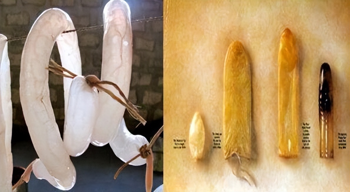 以前古代用的什么方法避孕的,古代的避孕药有哪些