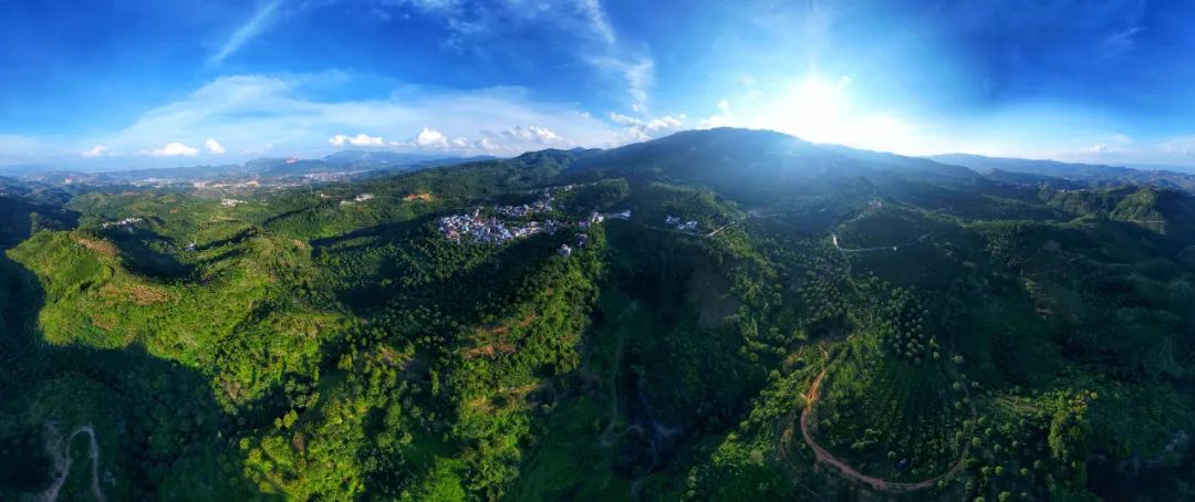 推动红河高质量跨越发展,奋力推动红河高质量跨越式发展