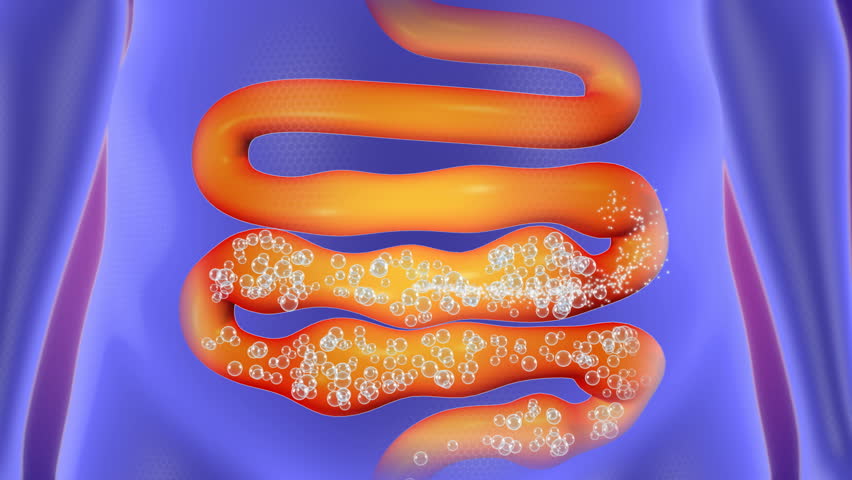 屁之所以有臭味是因为什么成分,屁臭的原因是因为有什么成分