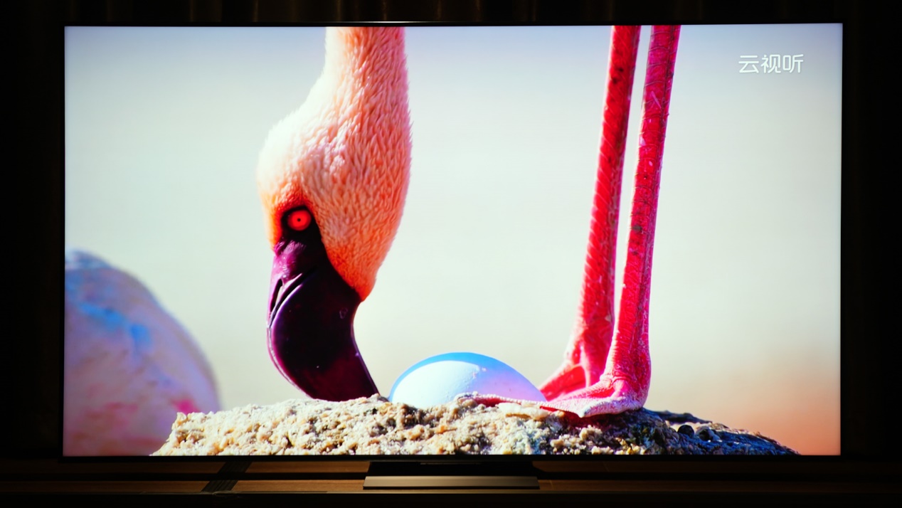 tclminiled75寸q10h新款电视评测,tcl电视85q10g85英寸mini测评