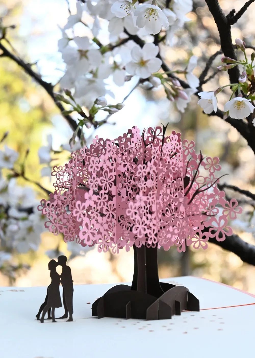 这几天，和武汉酒店一起火爆的，还有这个邮局→