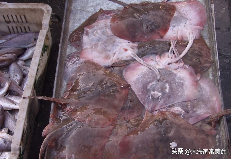 大连封海了还能吃的海鲜,大连开海吃海鲜攻略