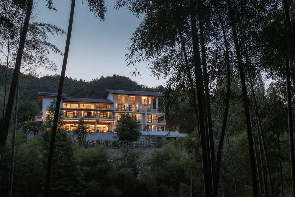 莫干山竹林深处的最美民宿,莫干山森林小屋民宿