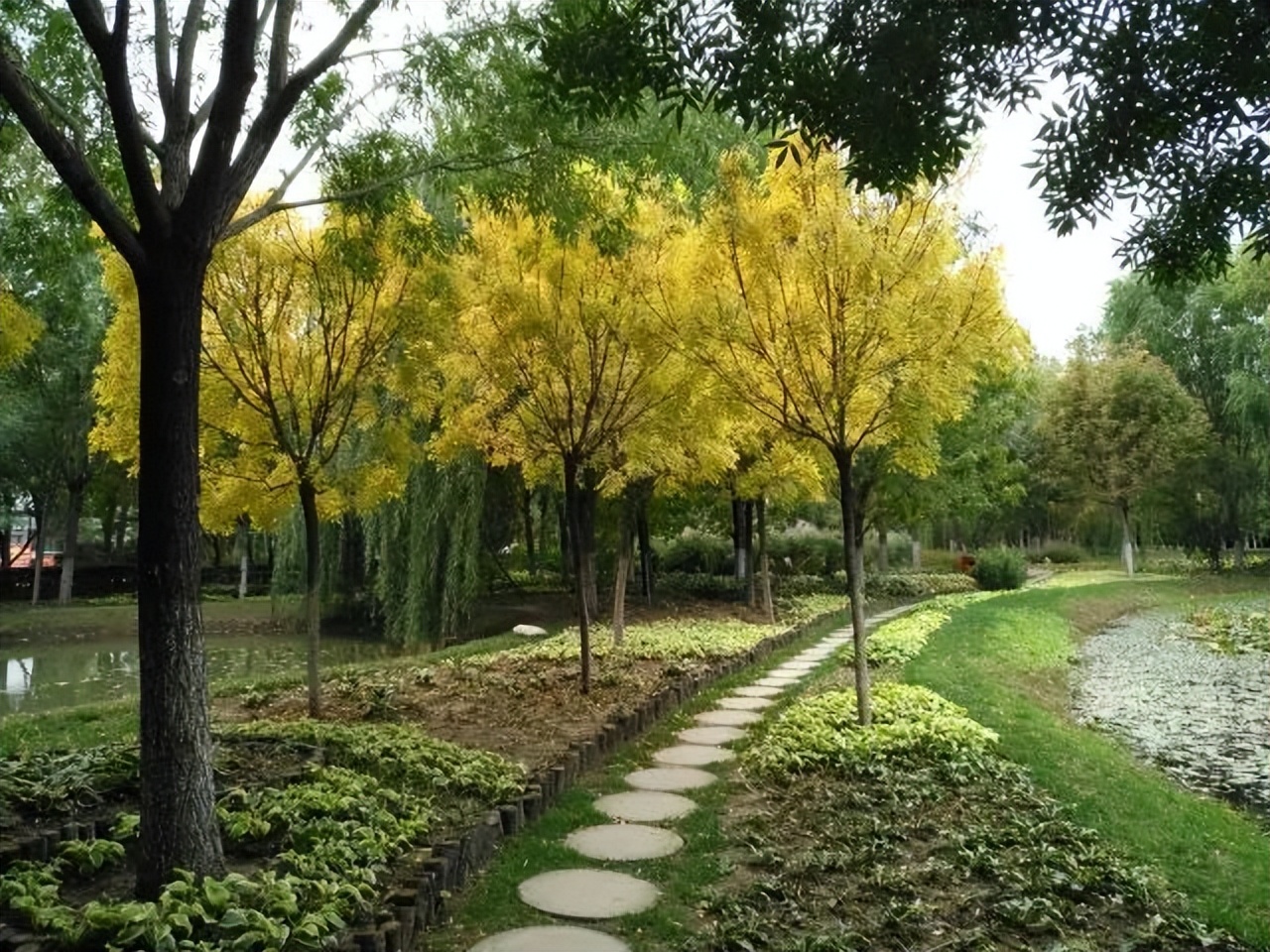 国庆津城旅游攻略,国庆天津金海湖打卡攻略