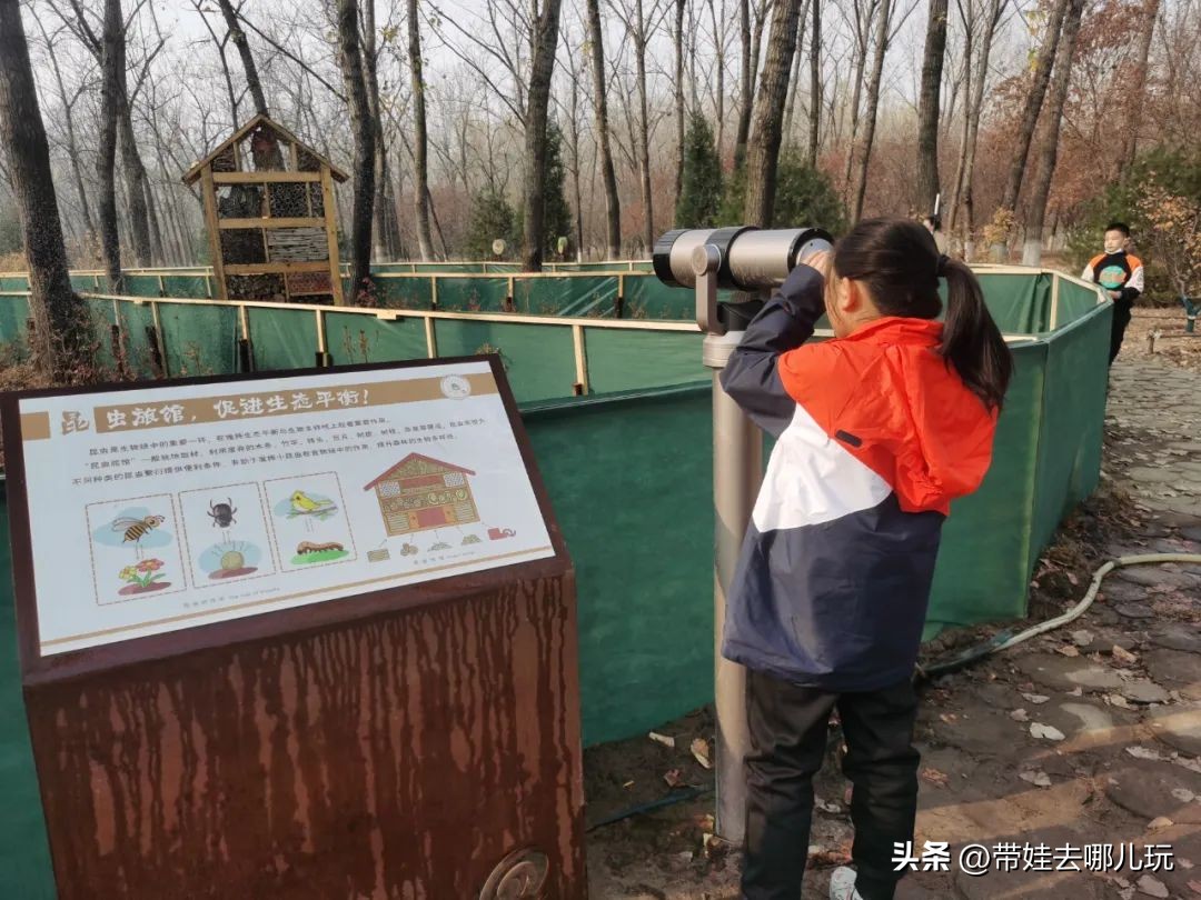 骑行国家森林公园,徒步骑行森林公园