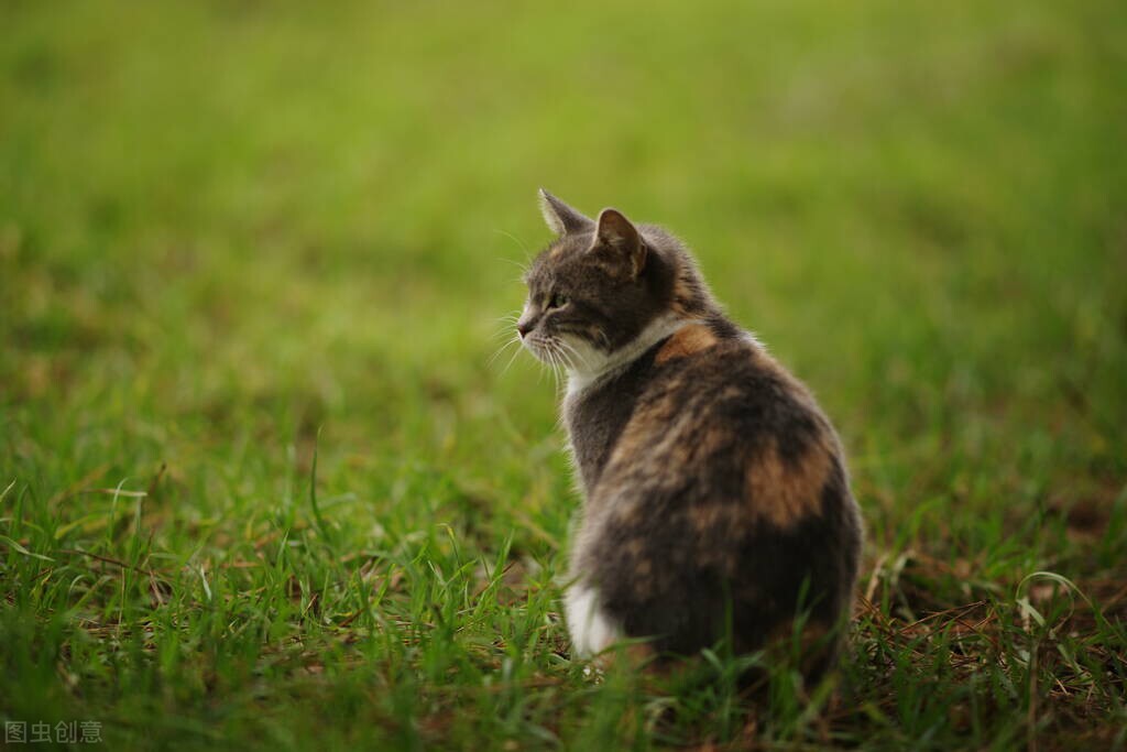 我拿命生下女儿,婆婆却把姑姐的孩子过继给我们,让人心寒