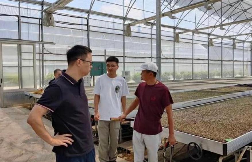 好样的!马云带科技回国,国内民营科技企业“摩拳擦掌”