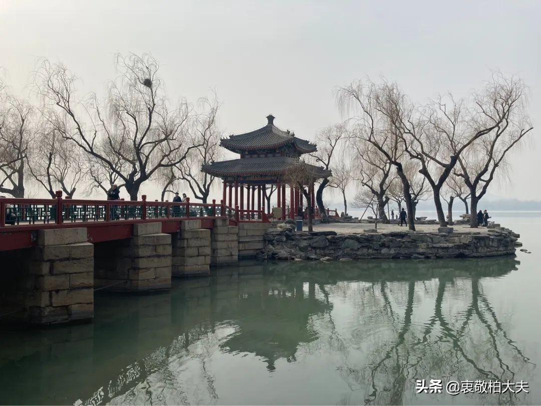 脑子反应有点慢，是不是得疲劳综合症了？