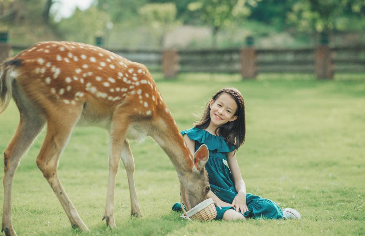 2024国际弦乐公开赛贵州赛区,2024全国校园音乐大赛贵州赛区