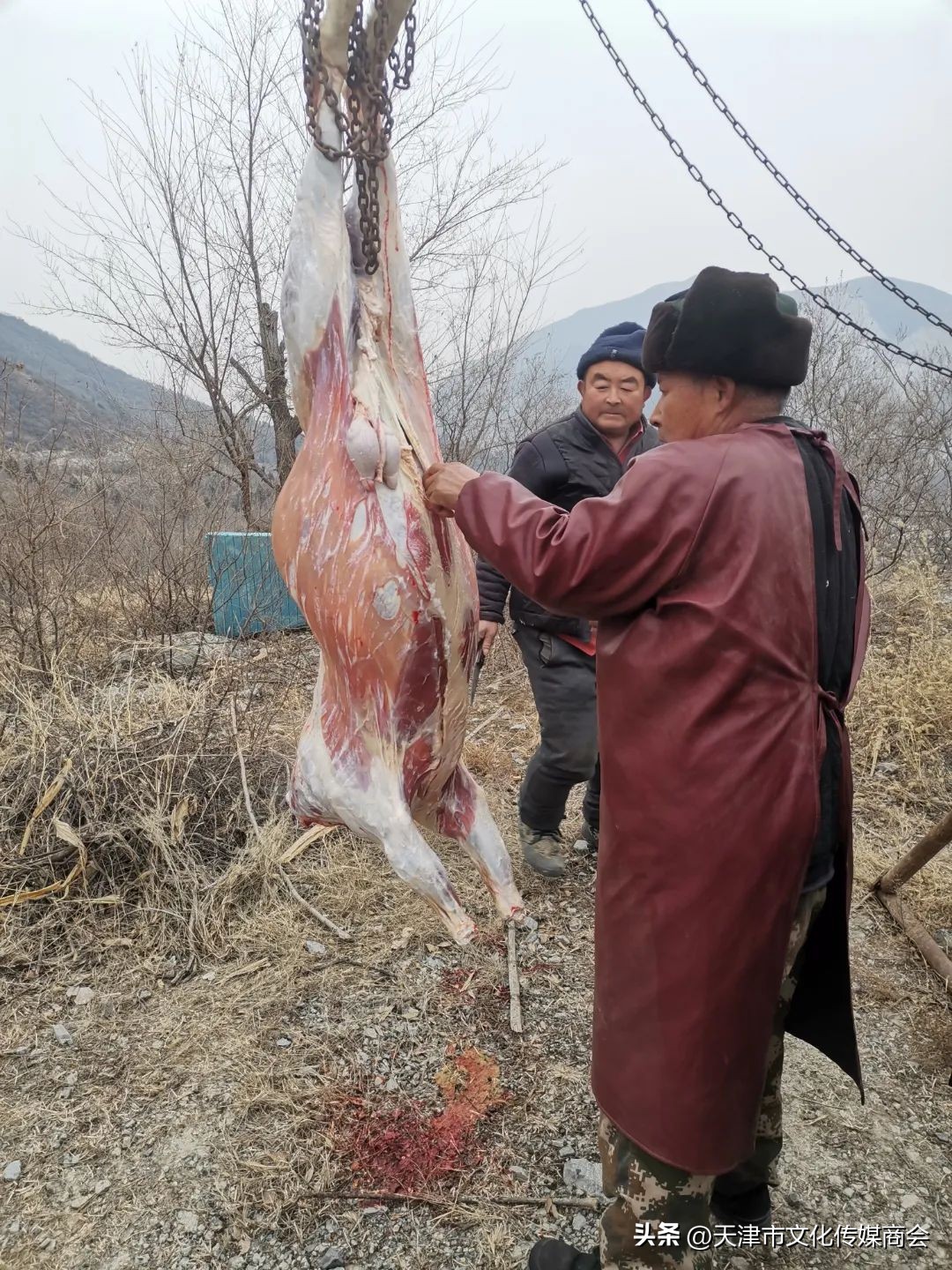 打造农特产品线上销售平台,蓟州农产品销售平台