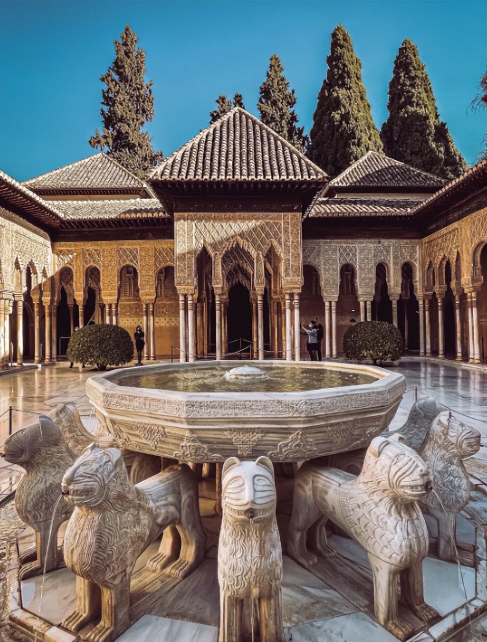 夜幕下的宫殿,夜幕降临沉浸式超级密室