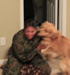 狗狗分离焦虑太严重,狗狗分离焦虑一不在家就拆家