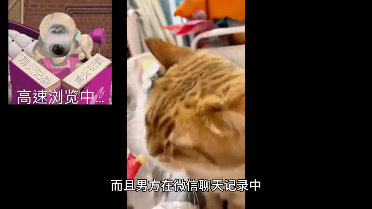 离婚后发现孩子不是亲生可以索赔,离婚后孩子不是亲生的能赔偿多少