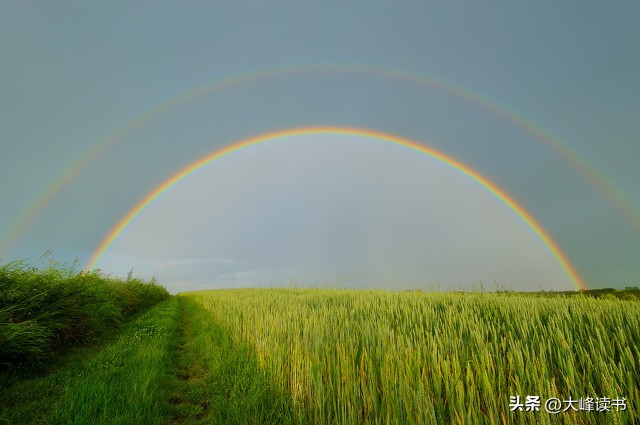 冯唐谈老得慢的秘诀,听冯唐讲一讲成大事的秘诀