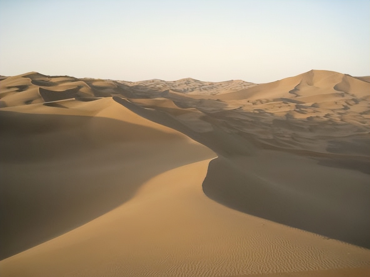 生活只剩下眼前的苟且英语,生活只剩下工作