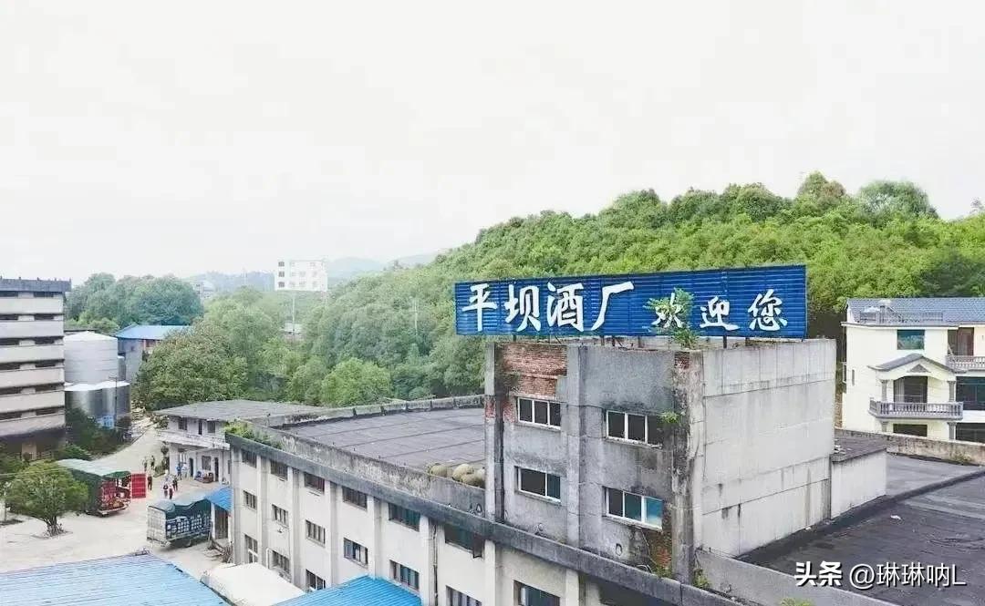 贵州平坝黑金1952酱酒53度,贵州老字号平坝酒53度酱香型