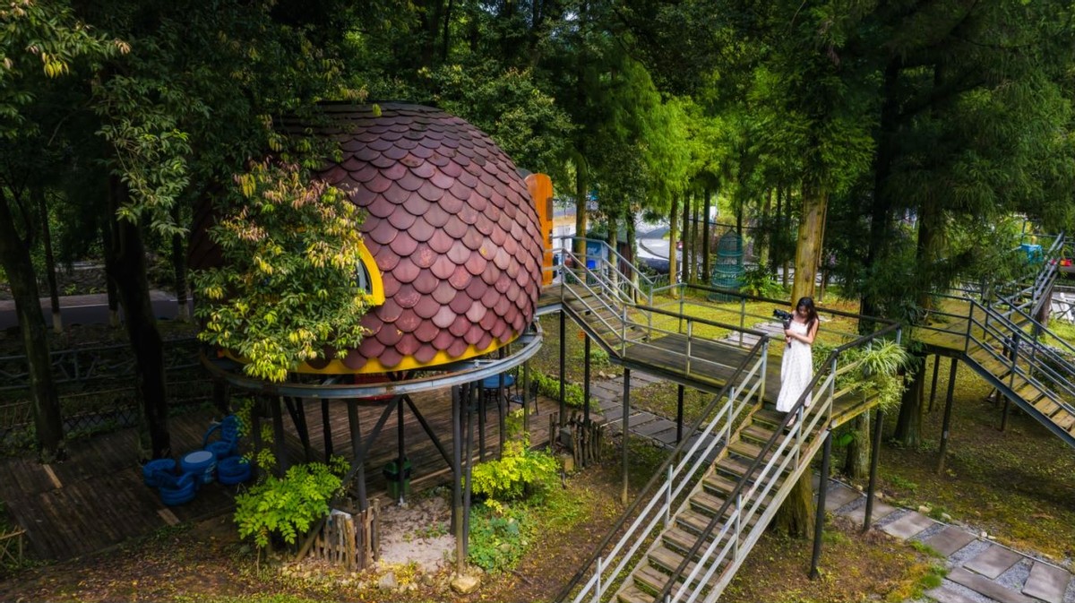 金佛山旅游体验,来金佛山体验清凉之旅