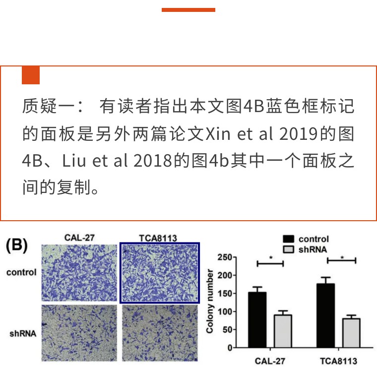 极大关注！天津医科大学第二医院发表的论文因明显图片重复被质疑