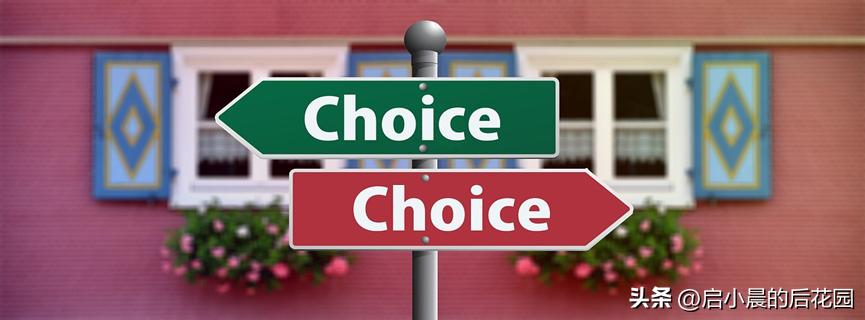 高考到底怎么填报适合自己的专业,你们高考的专业都是怎么选的