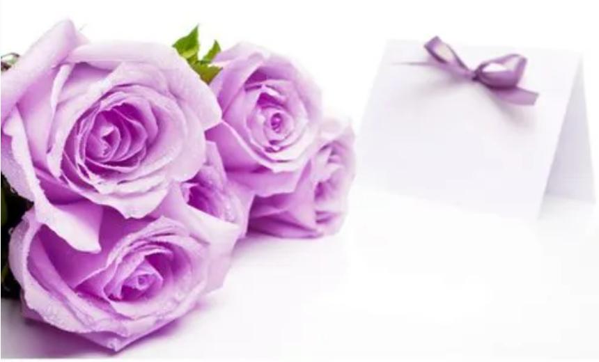 脱单寓意的花语,给脱单闺蜜送什么花语好