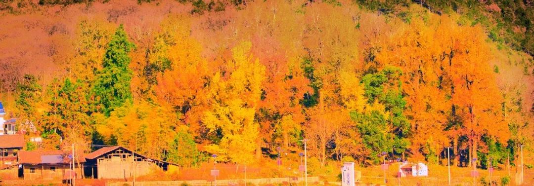 婺源美景之篁岭,婺源篁岭世外桃源