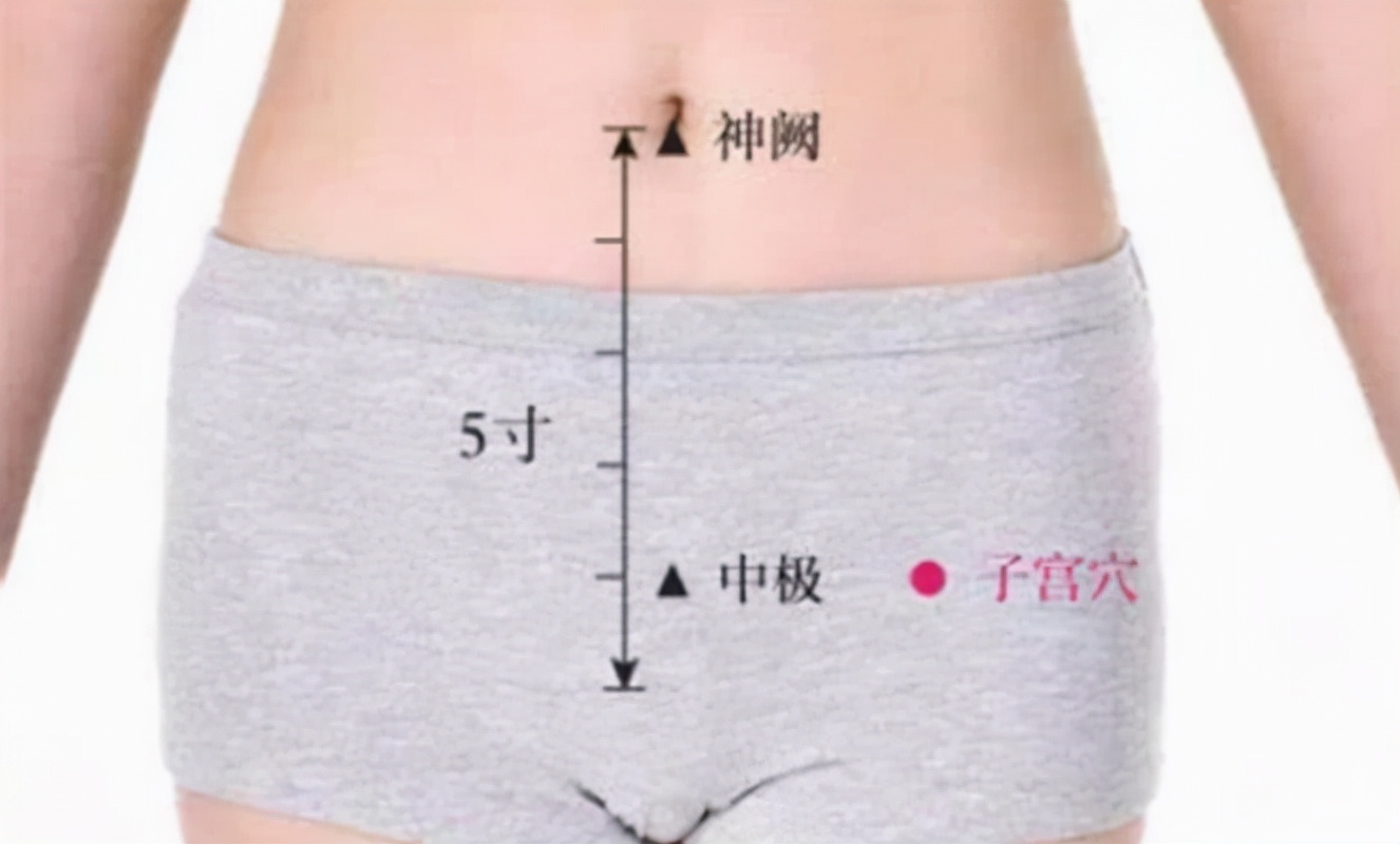 中极穴—“男科女科病”常用穴