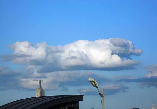 隔壁邻居偷了我家的狗,隔壁邻居偷我家狗