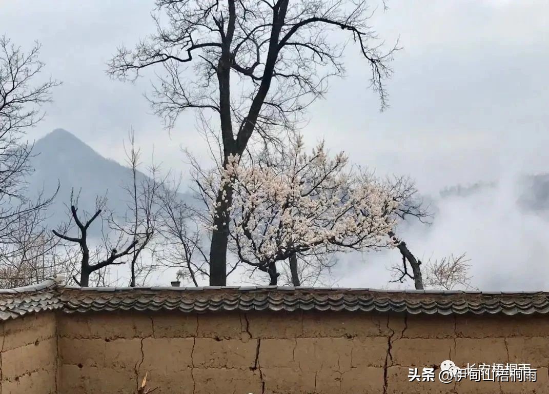 简单生活日记：《借山而居》读书笔记（一）