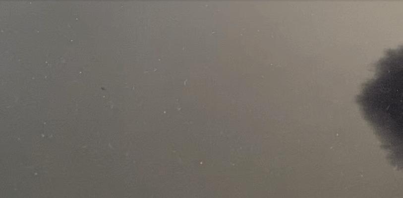 各种沙发的优缺点对比分析,6种沙发正在被淘汰别再买了