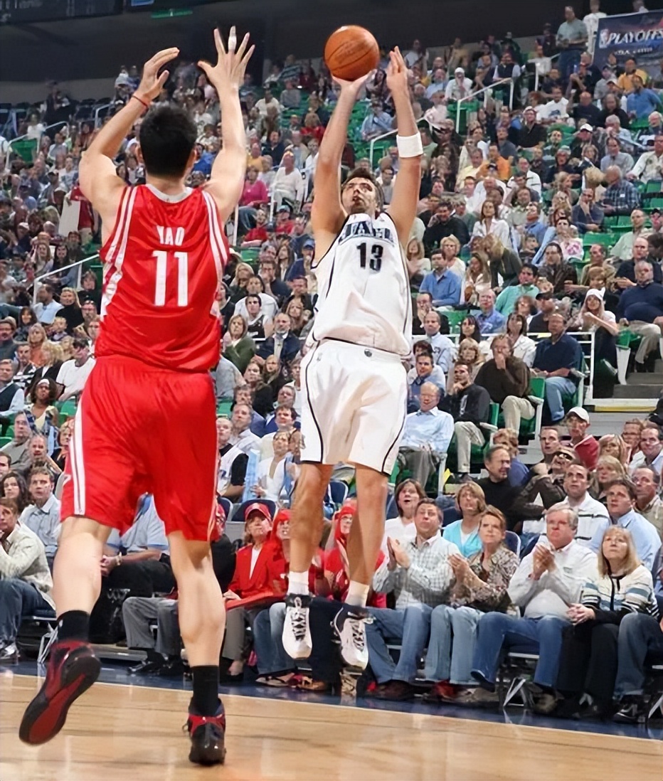 狗中哈士奇土耳其,狗中哈士奇有多厉害