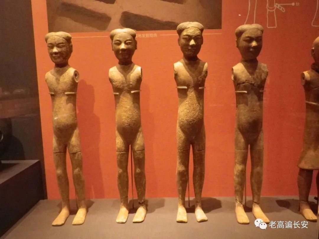 陕西考古博物馆几点放号,陕西考古博物馆门票预约