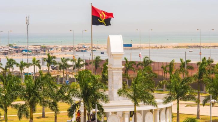 中国安哥拉蔬菜 (安哥拉的中国人种菜)