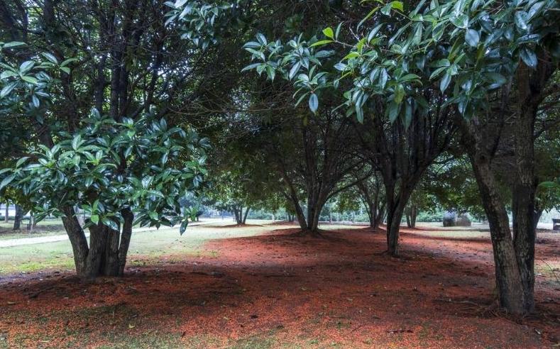 陶醉在秋天的诗句,陶醉在秋天美景