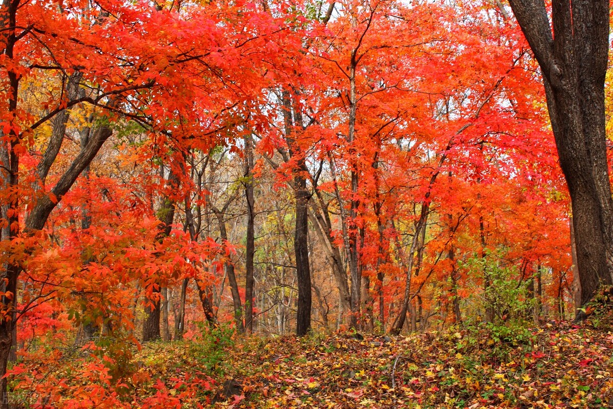 吉林市一日游游玩攻略带孩子,吉林市情侣游玩地方推荐