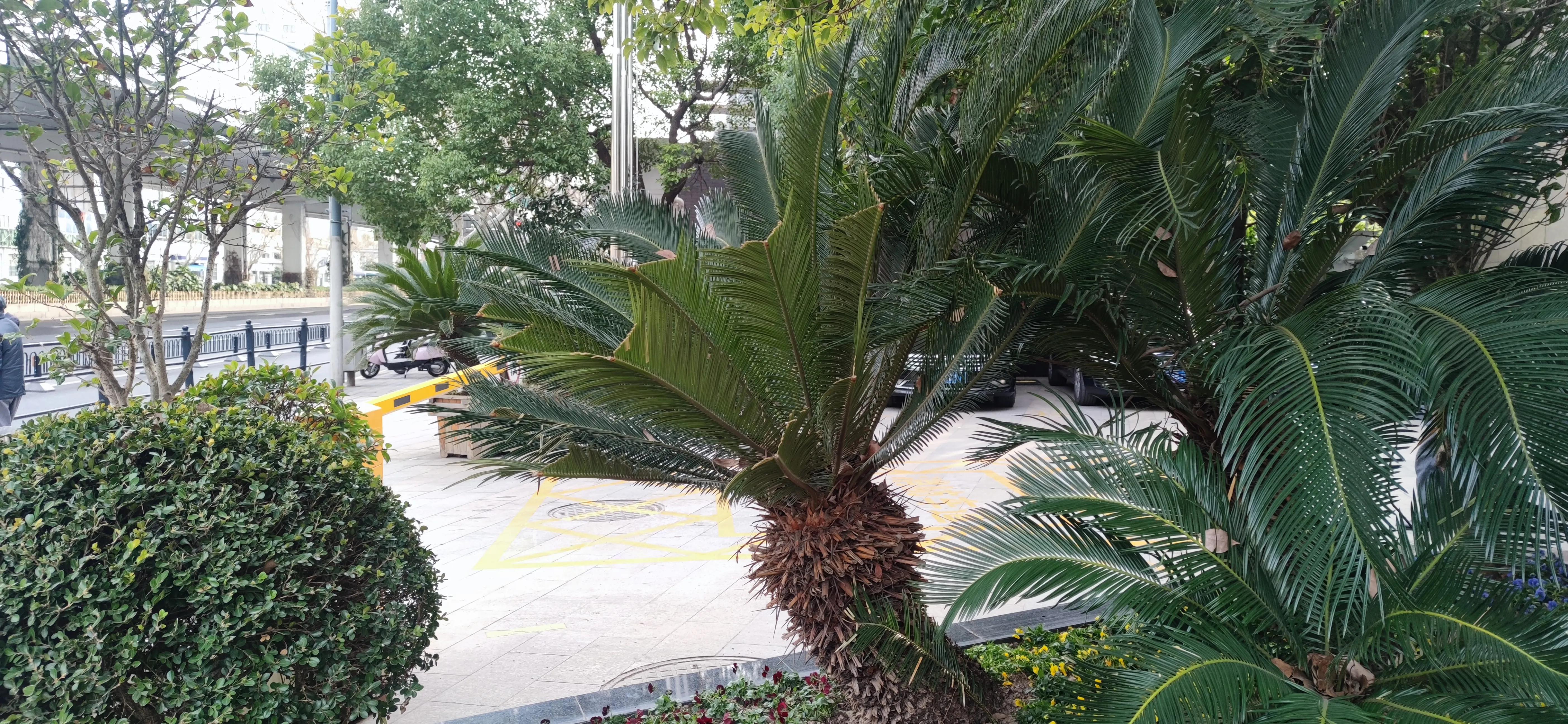 漫步鲁迅公园,周末鲁迅公园