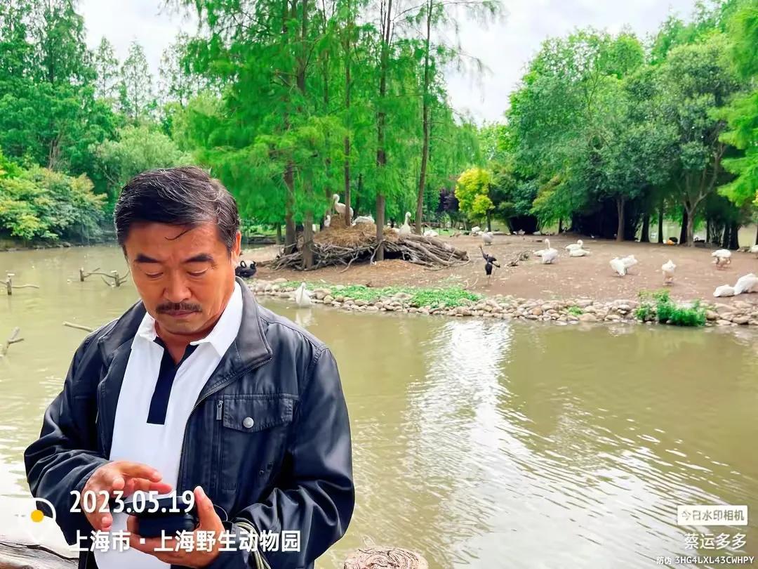 上海野生动物园和上海动物园,上海野生动物园过年营业时间