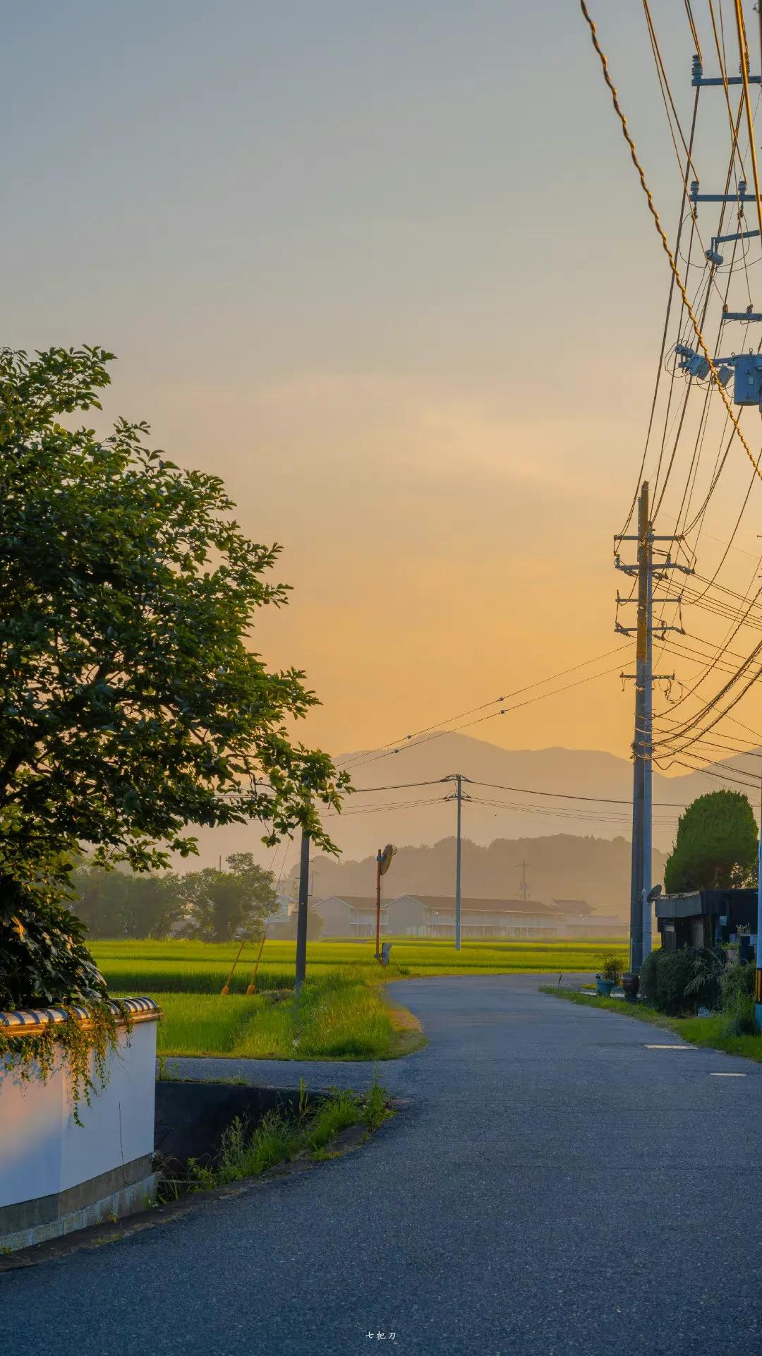 “黄昏来了,一切角隅皆为黄昏占领了”那些宝藏句子