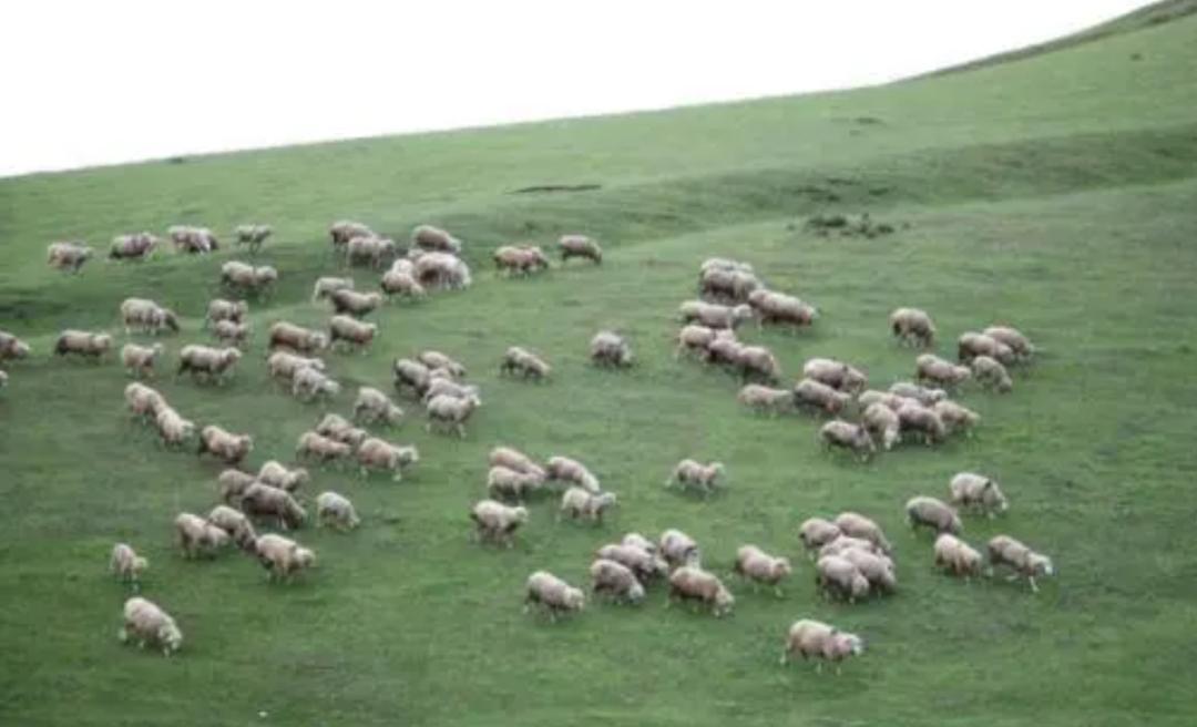 火星上有没有外星人存在,火星真的发现了外星人的踪迹吗