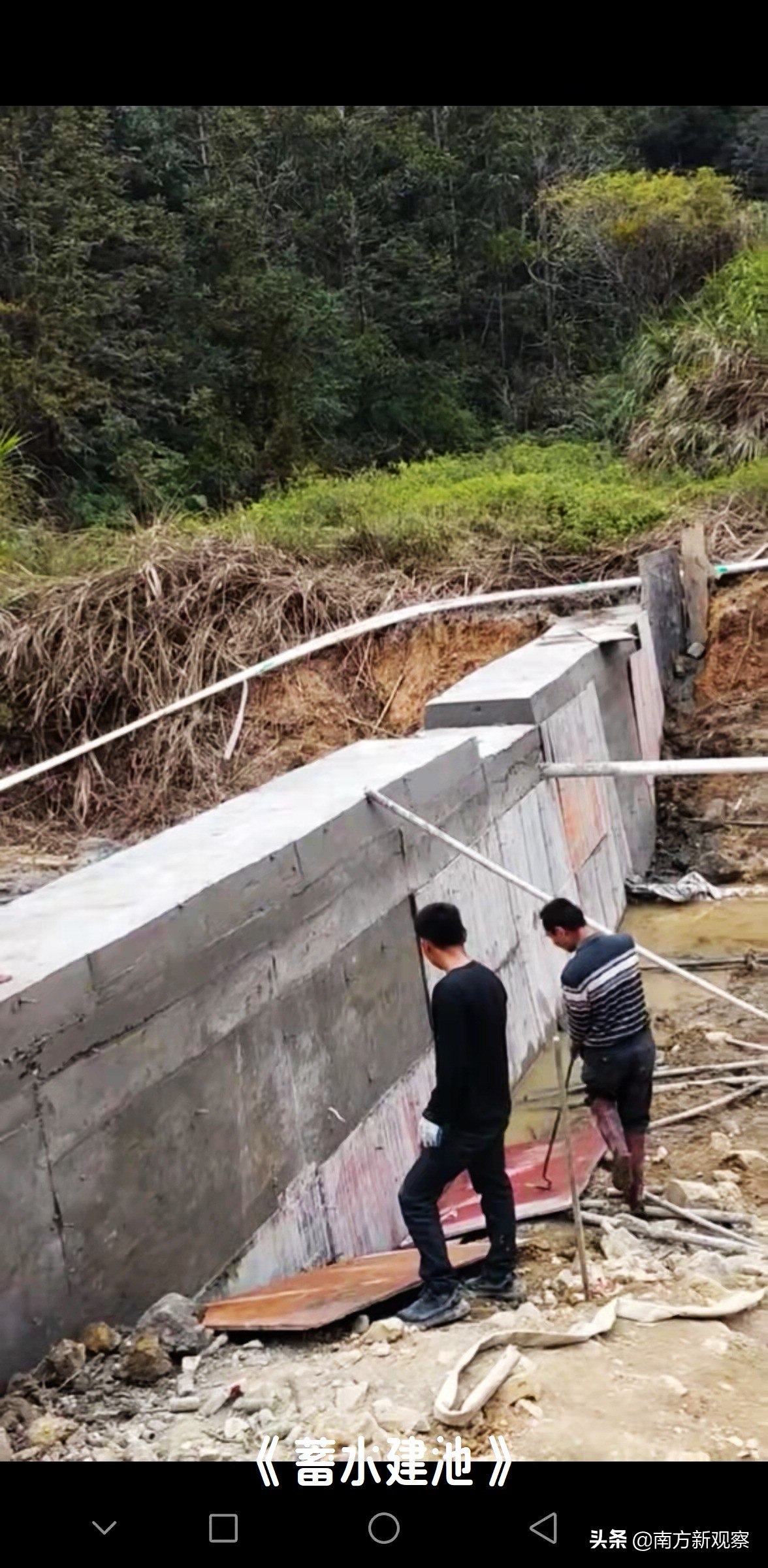 陈日光作品,陈日光