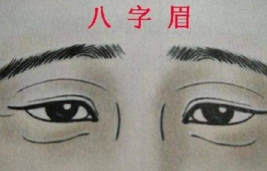 为什么说男怕八字眉,俗语说男怕八字眉