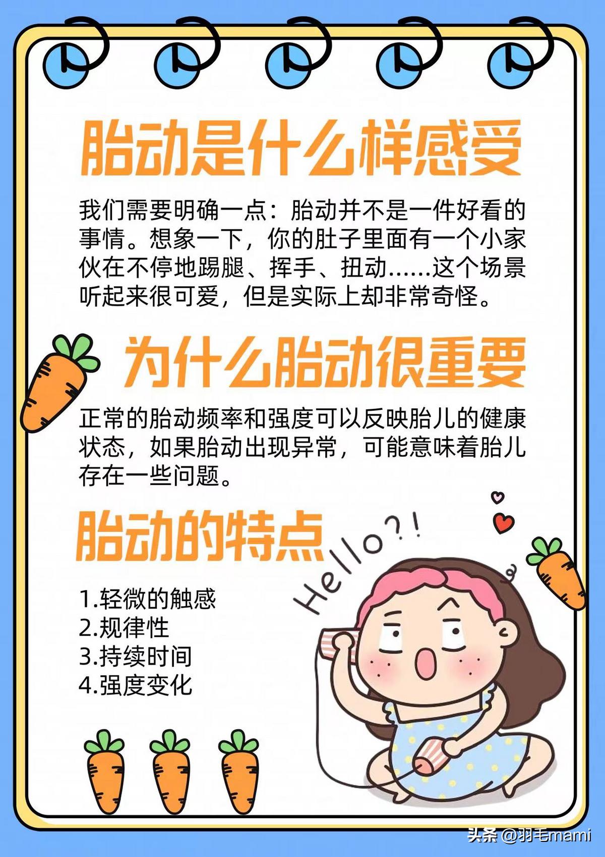 何时胎动感受明显,用手如何感受胎动