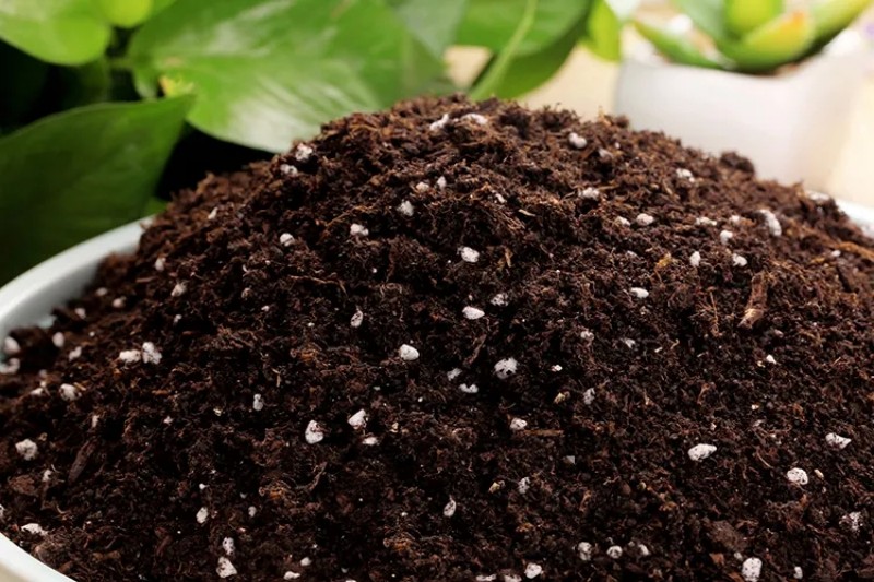 当下10万左右的加工厂，这几个项目能年入百万！