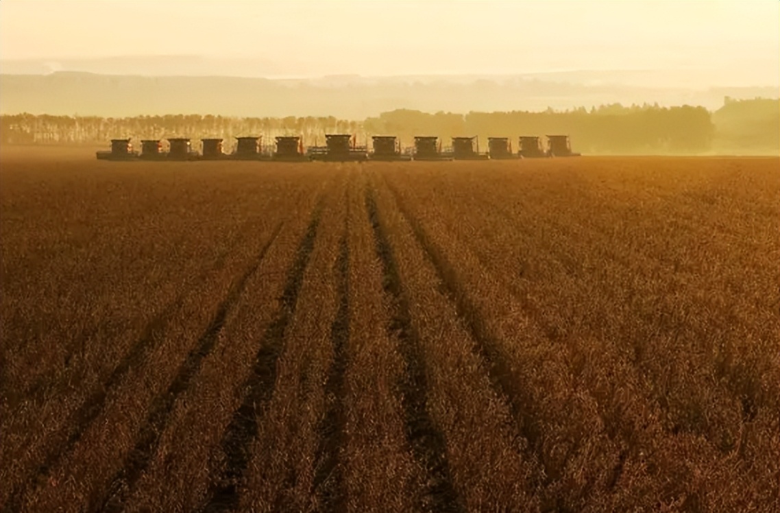 北大荒为什么退林还耕,北大荒当年咋样开垦的