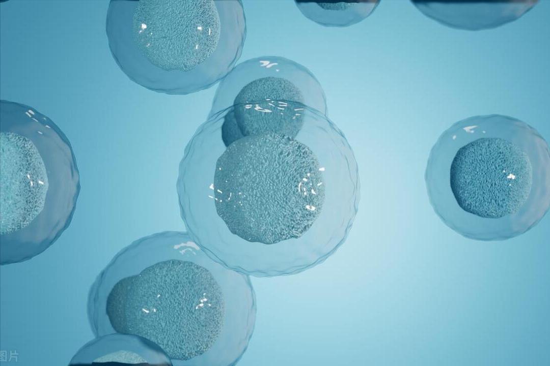 人为什么35岁开始断崖式衰老,人过五十会断崖式衰老