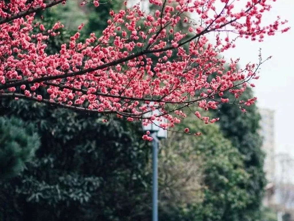 文章的标题怎么写好看又简单,怎么写好文章标题