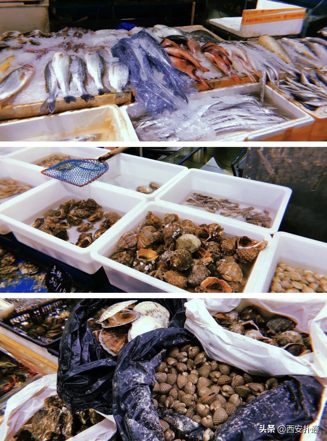 西安曲江哪里有大型批发菜市场,深夜西安十大农贸菜市场