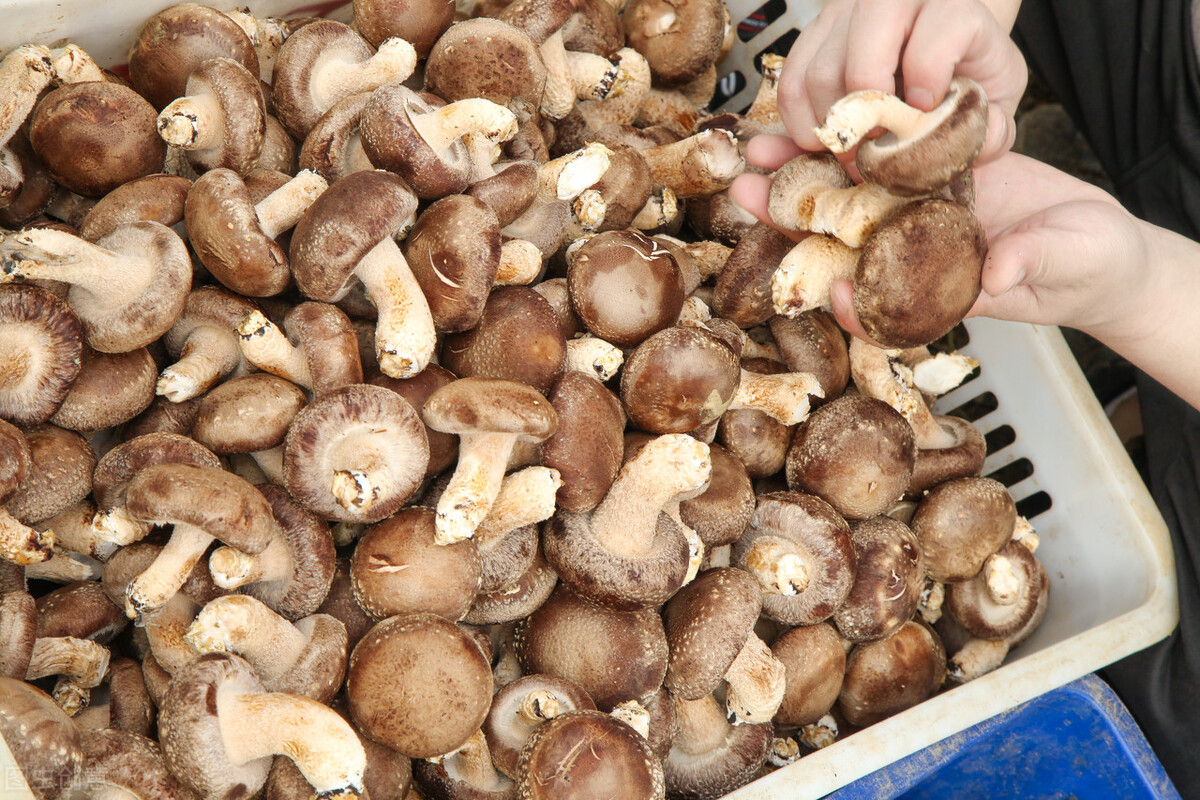 痛风关节炎吃什么蔬菜和水果最好,痛风吃什么水果蔬菜好降尿酸快呢